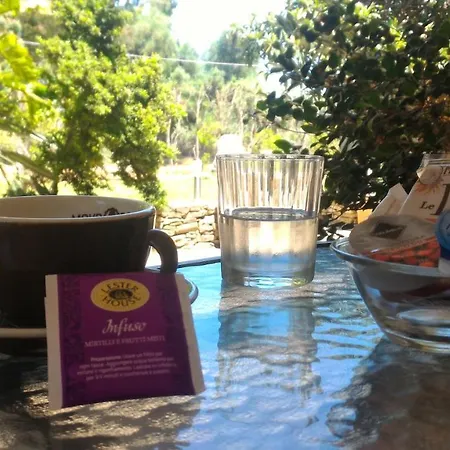 Canu Couette-café Alghero