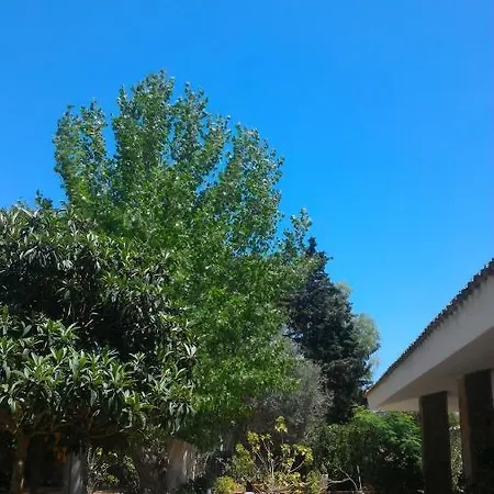 Canu * Alghero